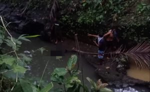 20210723_123347-picsay