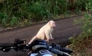 Screenshot_20210807-231232_WhatsAppBusiness