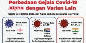 penjelasan-satgas-covid-19-perbedaan-gambaran-klinis-varian-delta-dan-alpha-picsay
