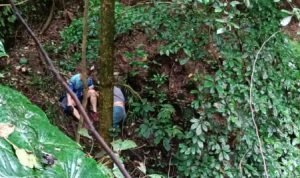 Screenshot_2021-12-04-22-50-27-48_7352322957d4404136654ef4adb64504