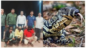 GridArt_20220420_114346894