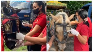 GridArt_20220429_181203747