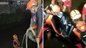 GridArt_20220528_233914915