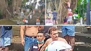 GridArt_20220611_225704394