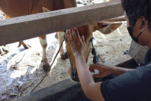 1ebd98b9cef8b9642cede04fbc0ac6a0-e1656831597930