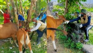 Screenshot_2022-07-30-19-09-48-09_c75e17524159248fca3fa78e53d1eea7