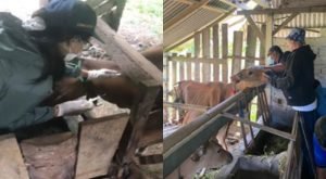 Screenshot_2022-08-11-22-11-42-48_c75e17524159248fca3fa78e53d1eea7