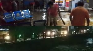 Screenshot_2022-10-17-02-24-38-60_c75e17524159248fca3fa78e53d1eea7