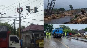 Screenshot_2022-10-17-21-02-59-48_c75e17524159248fca3fa78e53d1eea7