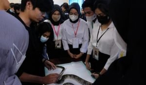 Screenshot_2022-10-24-00-21-32-22_99c04817c0de5652397fc8b56c3b3817