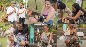 Screenshot_2022-11-07-22-06-10-77_c75e17524159248fca3fa78e53d1eea7