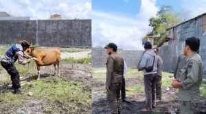 Screenshot_2022-12-01-00-24-12-10_c75e17524159248fca3fa78e53d1eea7