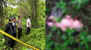 Screenshot_2022-12-21-13-49-47-18_c75e17524159248fca3fa78e53d1eea7