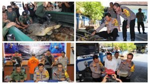 InCollage_20230501_232833640