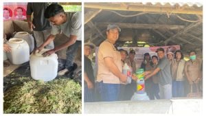 InCollage_20230702_224343767