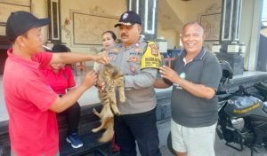 Screenshot_2023-06-20-13-10-48-26_7352322957d4404136654ef4adb64504