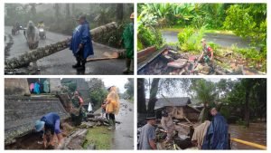 InCollage_20230707_181243221