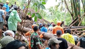 Screenshot_2023-07-07-12-41-02-91_7352322957d4404136654ef4adb64504