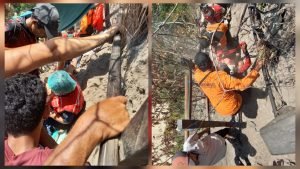 InCollage_20230903_131954687