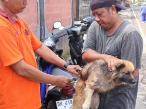 18a9cd20cd3e9ef86e90b991ce38e687