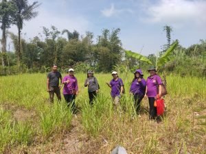 dd53b7b8c4216484760ffbed01b0667e