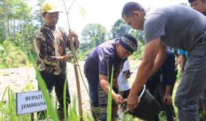 Screenshot_2023-12-21-17-34-21-95_e307a3f9df9f380ebaf106e1dc980bb6