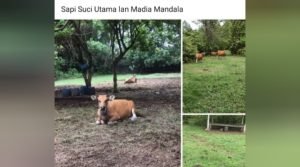 Screenshot_20231215-193032_InShot