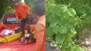 InCollage_20240309_232719870