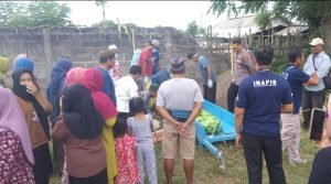 Screenshot_2024-03-21-00-46-43-82_7352322957d4404136654ef4adb64504