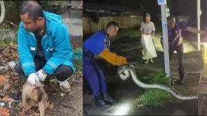 InCollage_20240403_012346426