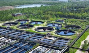 Screenshot_2024-05-22-17-41-02-96_40deb401b9ffe8e1df2f1cc5ba480b12