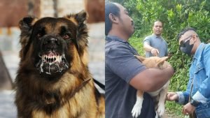 InCollage_20240722_154027208