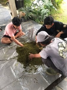 WhatsApp Image 2024-07-10 at 13.20.32