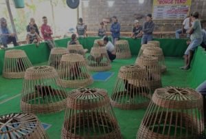 WhatsApp Image 2024-07-14 at 20.14.28