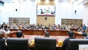 WhatsApp Image 2024-07-17 at 12.23.50