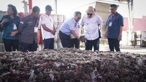 WhatsApp Image 2024-07-24 at 19.26.37