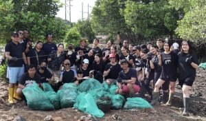 WhatsApp Image 2024-07-30 at 20.54.57