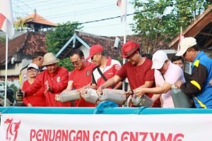 WhatsApp Image 2024-08-18 at 22.24.08