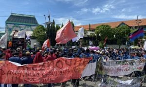 WhatsApp Image 2024-08-24 at 08.47.23