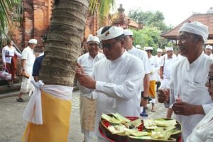 WhatsApp Image 2024-08-31 at 20.51.40