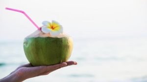 Ilustrasi Foto Minum Kelapa Muda, PT Yoona Digital Indonesia (Sumber VRITIMES.com)