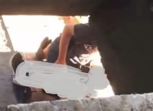 WhatsApp Image 2024-09-05 at 23.12.43