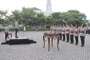 WhatsApp Image 2024-09-14 at 20.51.26