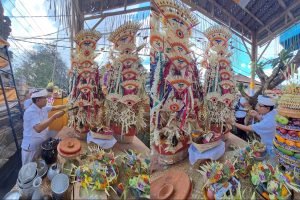 WhatsApp Image 2024-09-19 at 08.38.11