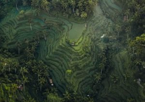 WhatsApp Image 2024-09-30 at 22.09.19