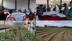 InCollage_20241010_111224389