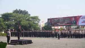 WhatsApp Image 2024-10-01 at 14.36.29