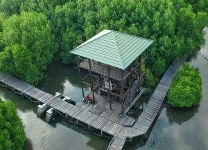 WhatsApp Image 2024-10-02 at 23.46.54