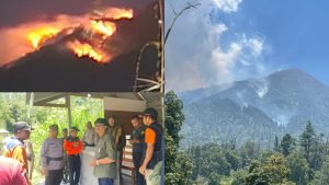 WhatsApp Image 2024-10-16 at 15.42.42