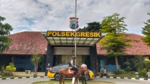 WhatsApp Image 2024-10-22 at 13.12.12